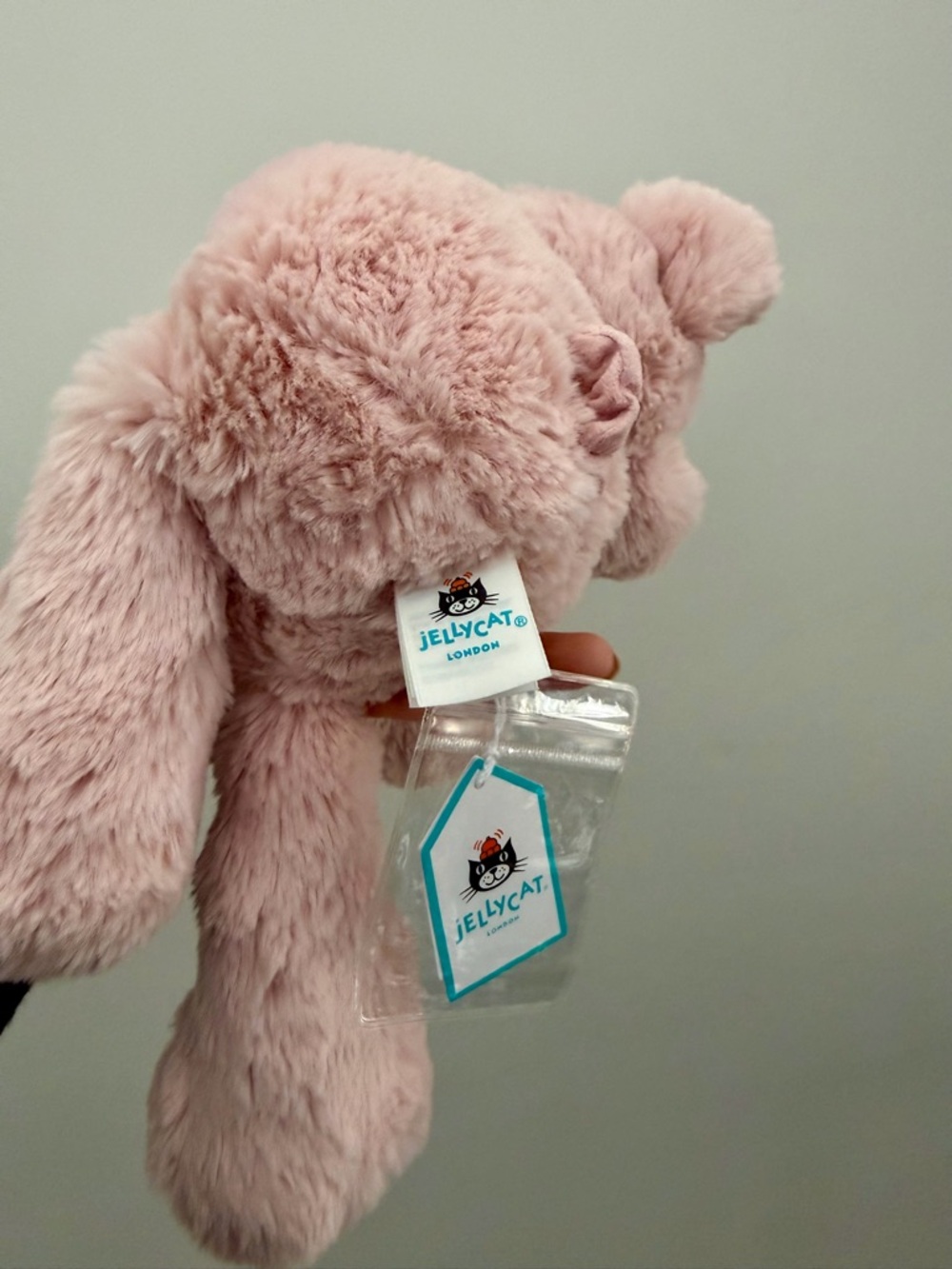 🛑𝐒𝐎𝐋𝐃🛑

🐷𝐀𝐔𝐓𝐇𝐄𝐍𝐓𝐈𝐂 𝐉𝐞𝐥𝐥𝐲𝐜𝐚𝐭 𝐒𝐦𝐮𝐝𝐠𝐞 𝐏𝐢𝐠🐷 - Picture 4 of 6